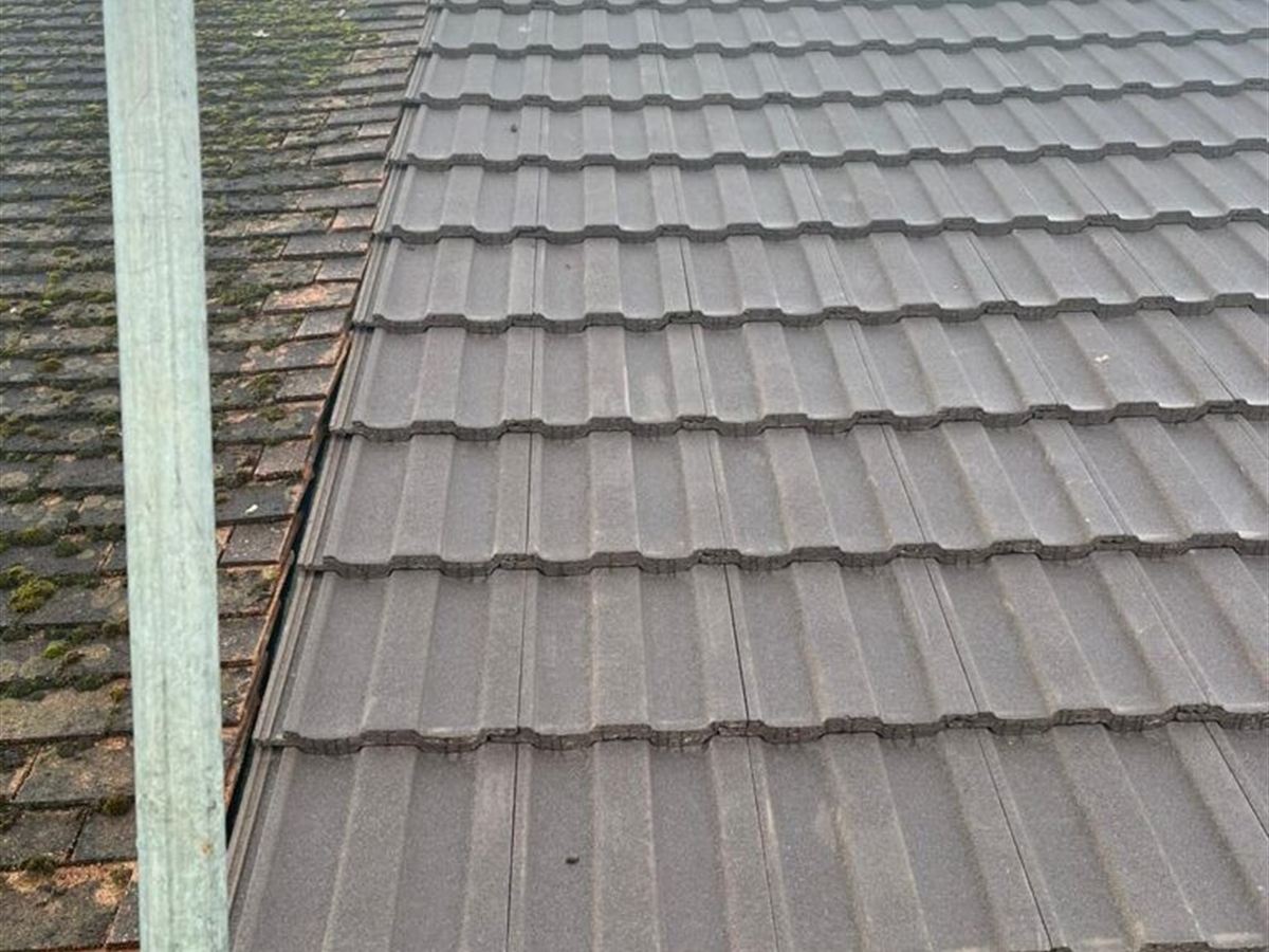 Concrete Roofs project