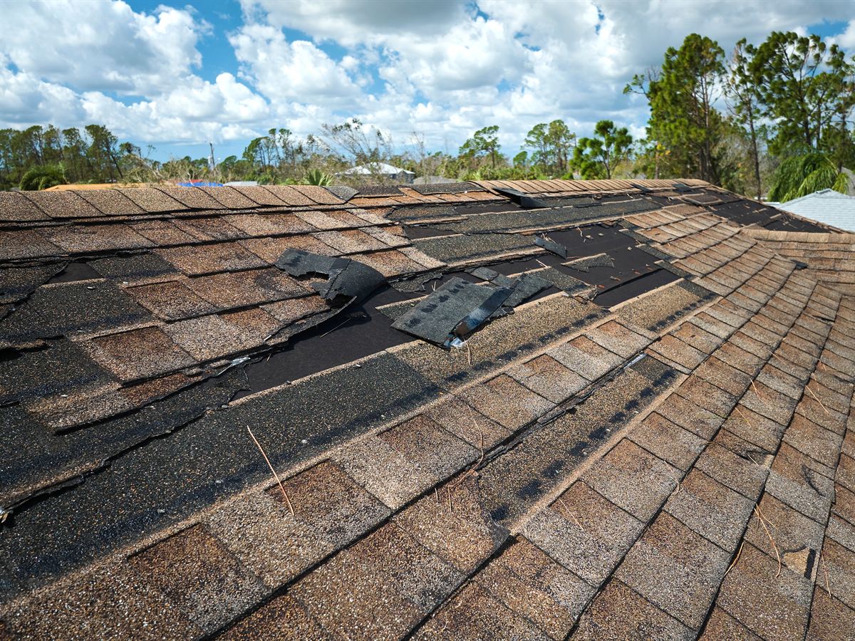 Leaky Roofs project