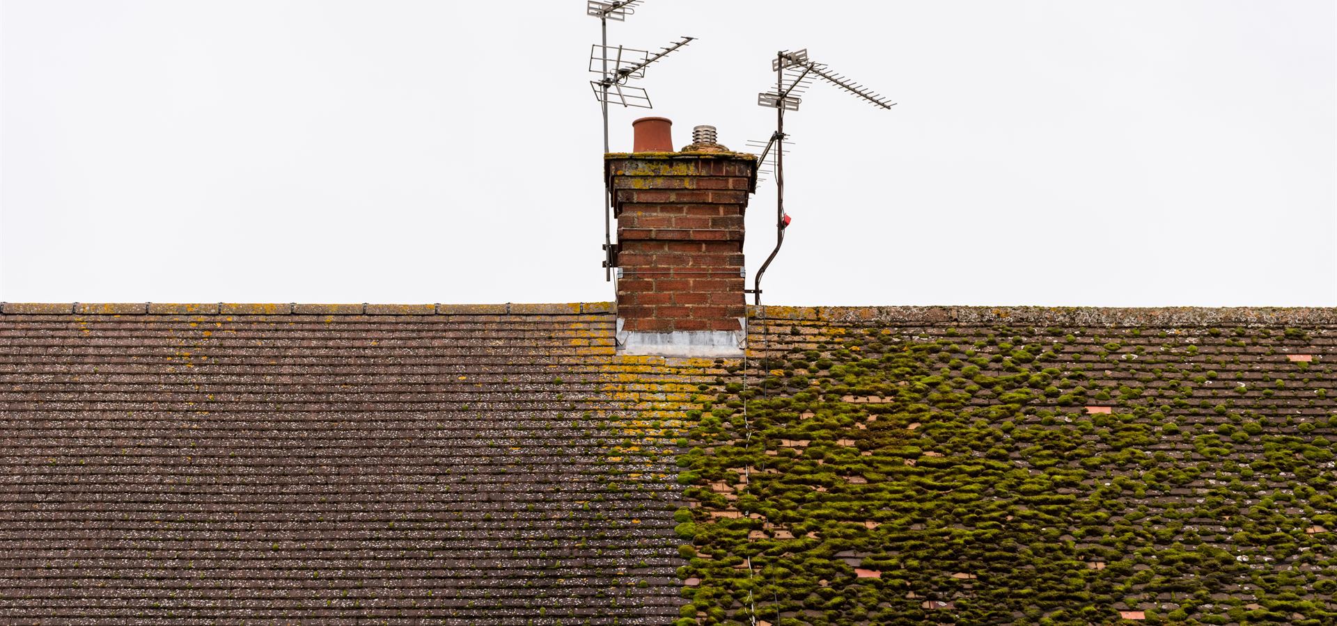 Moss Removal by Validus Roofing in Northampton