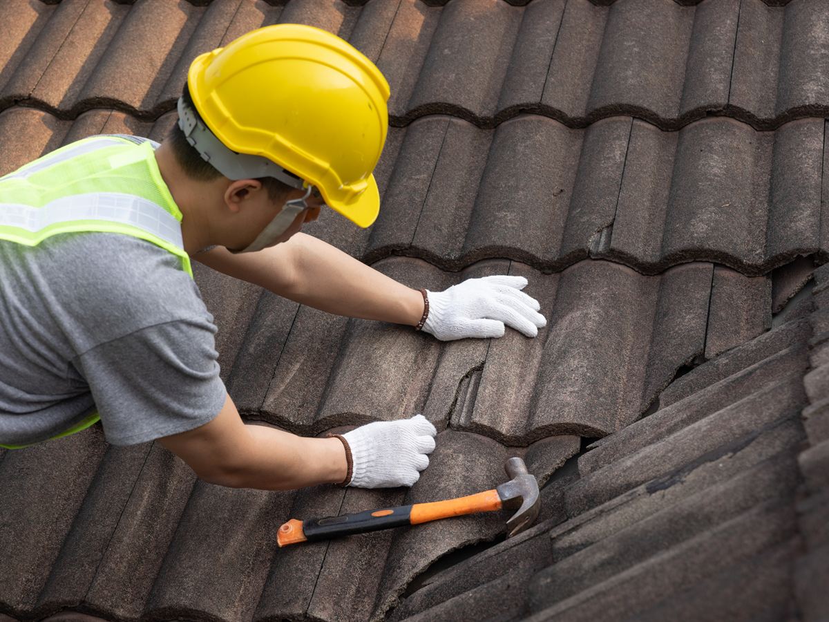 Roof Repairs project
